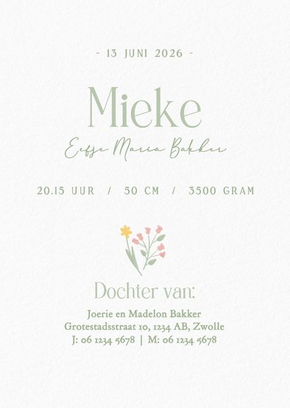 Klassiek wit geboortekaartje meisje met gansje en bloemen 3