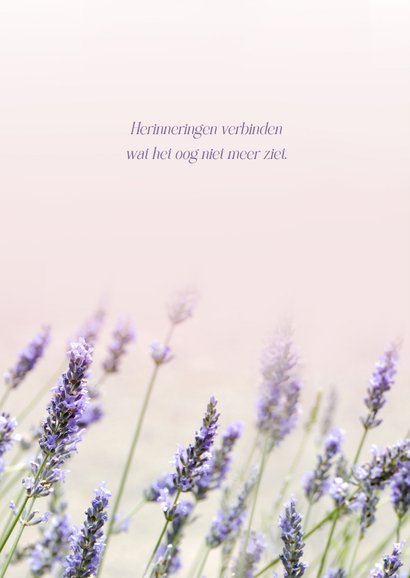 Klassieke condoleance sterkte kaart lavendel bloemen  2