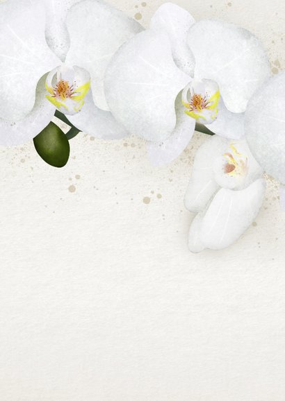 Klassieke condoleancekaart met een witte orchidee Achterkant
