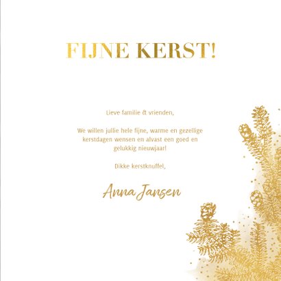 Klassieke kerstkaart met grote foto gouden dennentak & kader 3