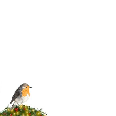 Klassieke kerstkaart met roodborstje in kerstkrans 2
