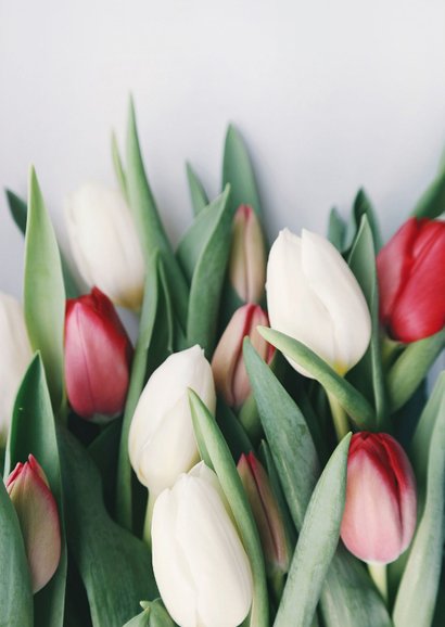 Klassieke moederdagkaart met foto van bos tulpen 2
