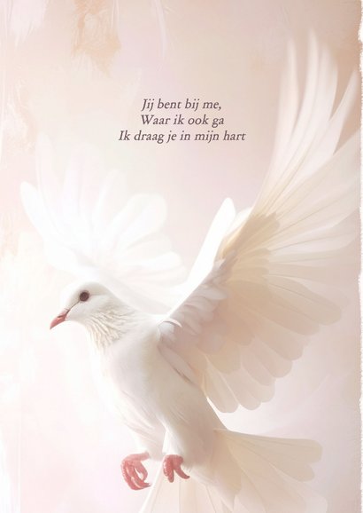 Klassieke rouwkaart met witte duif 2