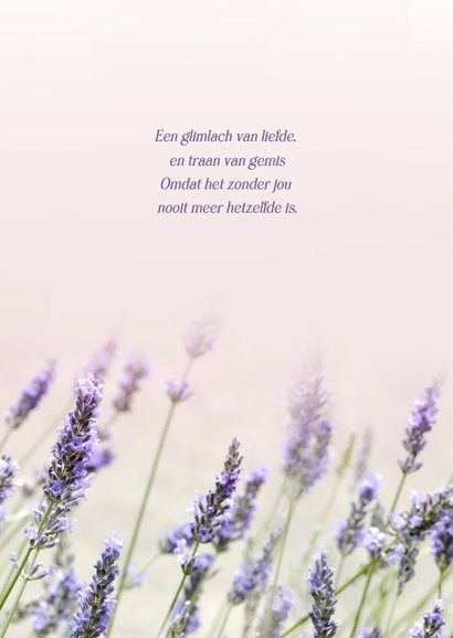 Klassieke rouwkaart met zomerse foto van lavendel 2