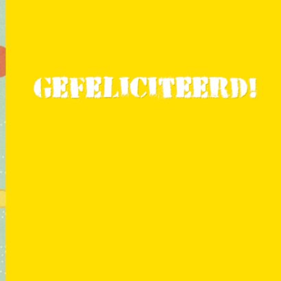 Klein feestvarkentje II 3