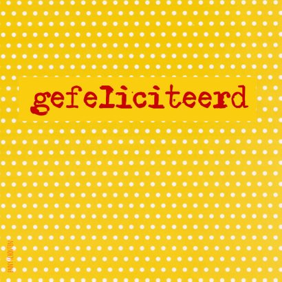 Klein feestvarkentje 2