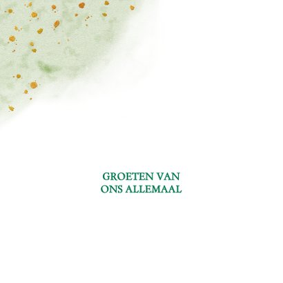 Kleurige kerstkaart met roos en diverse kersttakjes 2