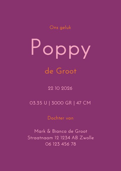 Kleurrijk geboortekaartje met strikjes patroon 3