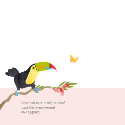 Kleurrijk geboortekaartje vogels 2