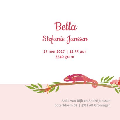 Kleurrijk geboortekaartje vogels 3