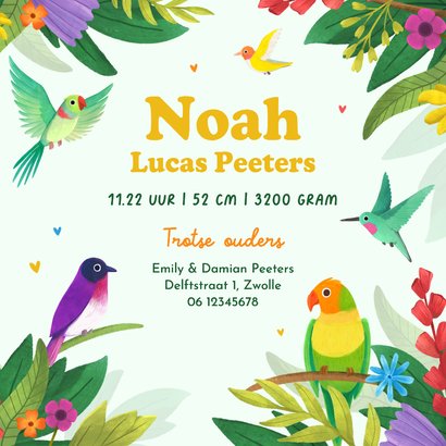 Kleurrijk tropisch geboortekaartje dieren vogels bloemen 3