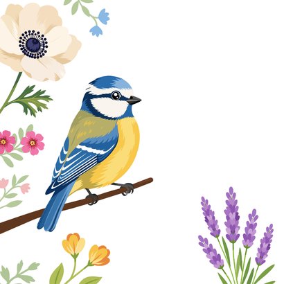 Kleurrijke beterschapskaart pimpelmees en bloemen 2
