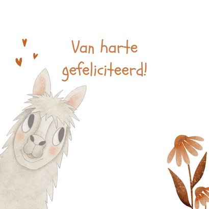 Kleurrijke felicitatiekaart lama en donkere textuur 2