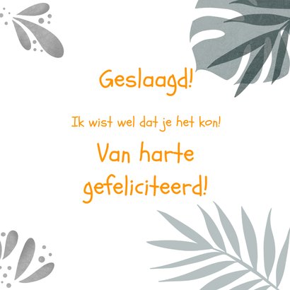 Kleurrijke felicitatiekaart met grappige ara 3