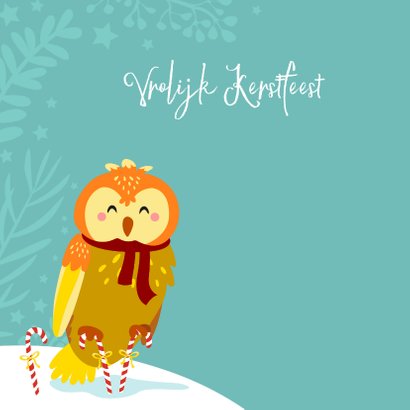 Kleurrijke kerstkaart met uil in de sneeuw 2
