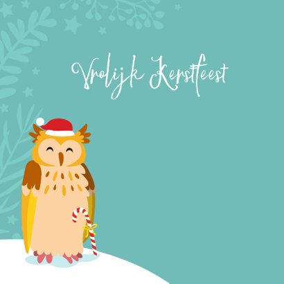 Kleurrijke kerstkaart met uilen in de sneeuw 2