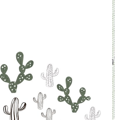 Knuffel een Cactus-kaart 'BIG HUGS!' 2