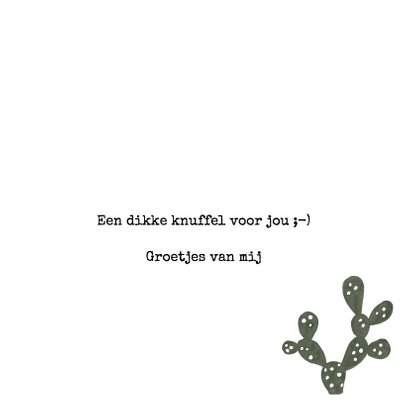 Knuffel een Cactus-kaart 'BIG HUGS!' 3