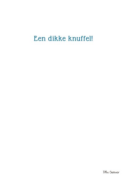 Knuffelbeer Illu-Straver 3