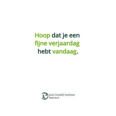 Knuffelverjaardag 3