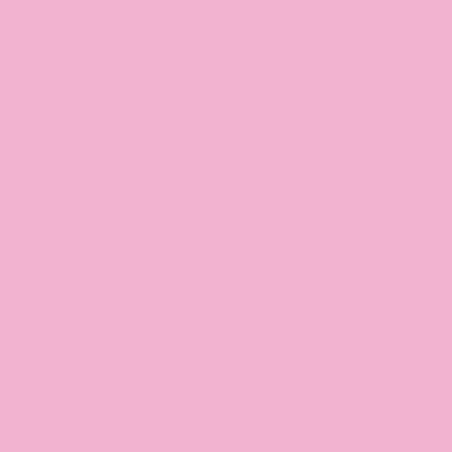 Koala roze 2