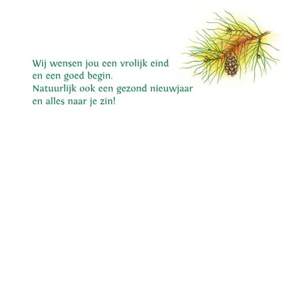 Kuifmeesje in een dennenboom 3
