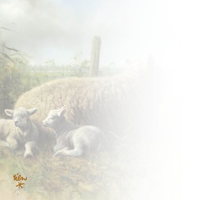 Kunstkaart met schapen in Nederlands landschap 2