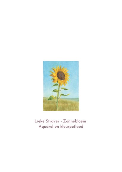 Kunstkaart met zonnebloem in aquarel 2