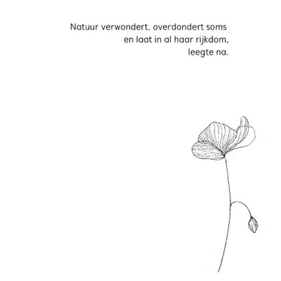 Kunstkaart natuur overweldigt 3