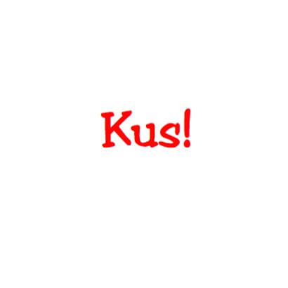 KUS in champagne glazen 3