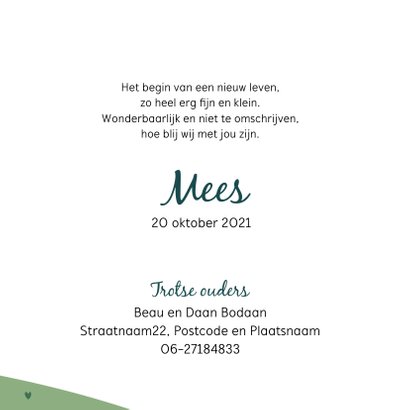 Landelijk geboortekaartje 3