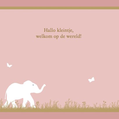 Leuk geboortekaartje met olifantje voor geboorte dochter 2