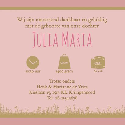Leuk geboortekaartje met olifantje voor geboorte dochter 3