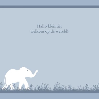 Leuk geboortekaartje met olifantje voor zoon 2