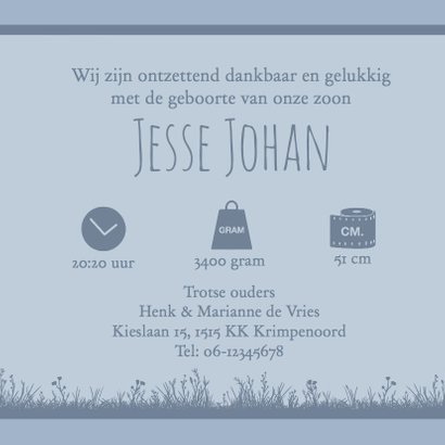 Leuk geboortekaartje met olifantje voor zoon 3