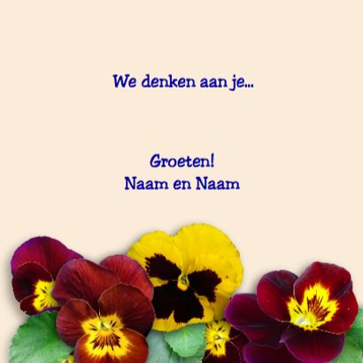 Leuke beterschapskaart met gemengde Violen in stenen pot 3