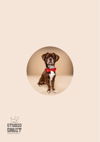 Leuke kerstkaart van hondje met kerststrik 2