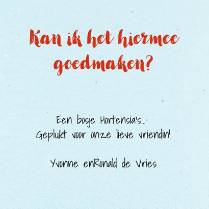 Leuke sorry kaart voor een vriendin met Hortensia-struik 2