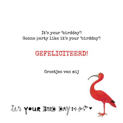 Leuke verjaardagskaart 'It's your birdday!' Met vogels 3