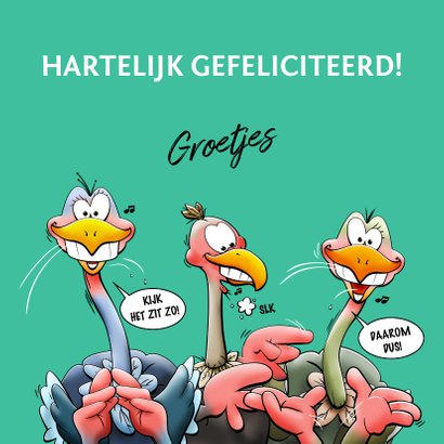 Leuke verjaardagskaart met 4 verdraaid leuke struisvogels 3