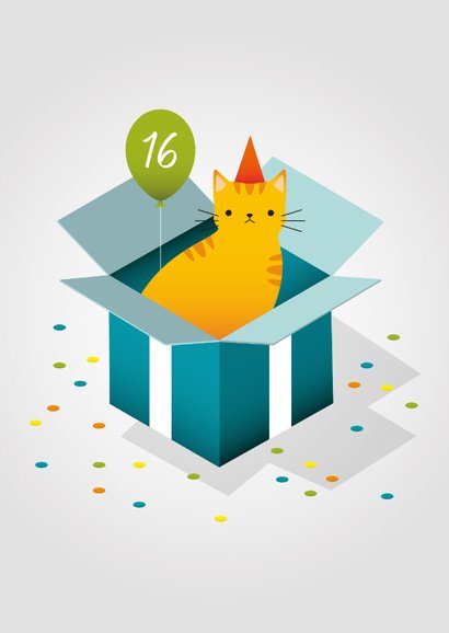 Leuke verjaardagskaart met kat in doos, ballon en confetti 2