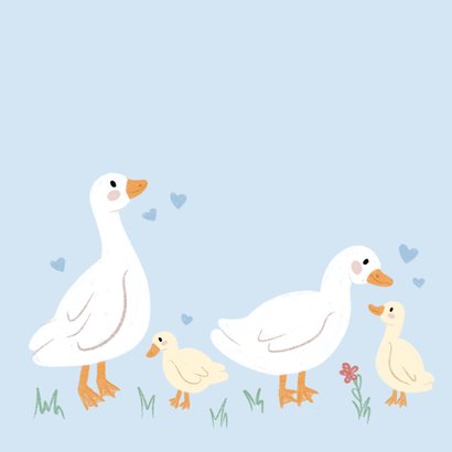 Lief blauw felicitatiekaartje geboorte jongetje met eendjes 2