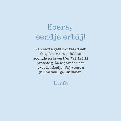 Lief blauw felicitatiekaartje geboorte jongetje met eendjes 3