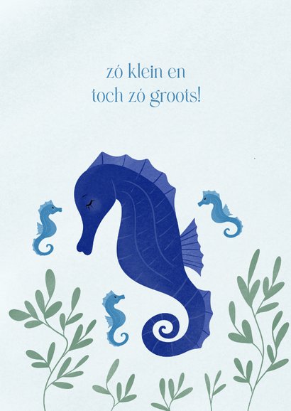 Lief blauw geboortekaartje meerling met zeepaardjes 2