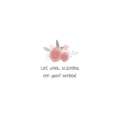 Lief Bohemian geboortekaartje met watercolor takjes 2