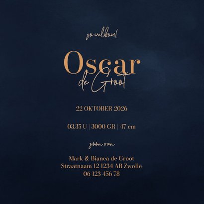  Lief donkerblauw winters geboortekaartje met hertje 3