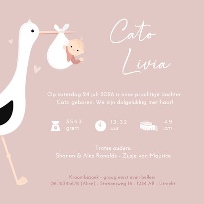 Lief en hip geboortekaartje met illustratie van een ooievaar Achterkant