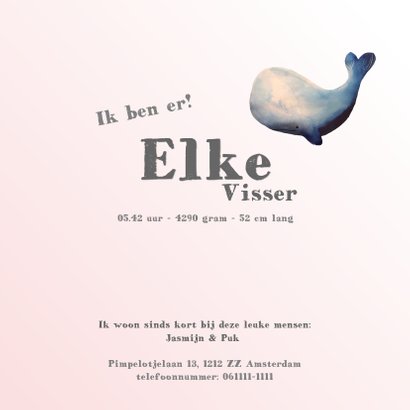 Lief en strak geboortekaartje walvis gezin en baby walvis 3