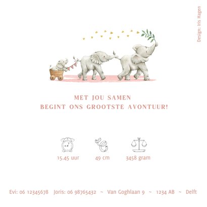 Lief en vrolijk geboortekaartje meisje met olifantjes 2