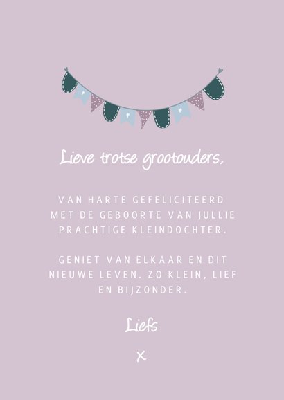 Lief felicitatiekaartje geboorte kleinkind met slinger 3